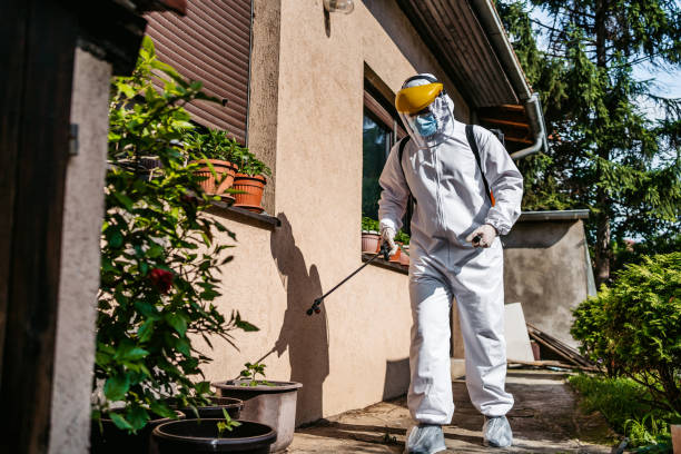 Best Mosquito Control Services  in Richland Hills, TX
