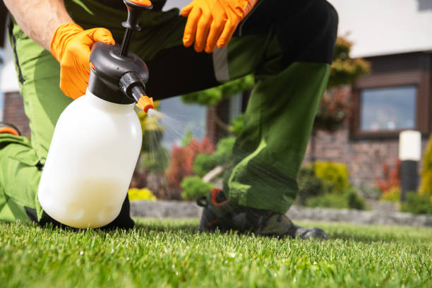 Best Affordable Pest Control Services  in Richland Hills, TX