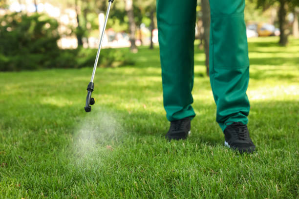 Best Flea Control Services  in Richland Hills, TX