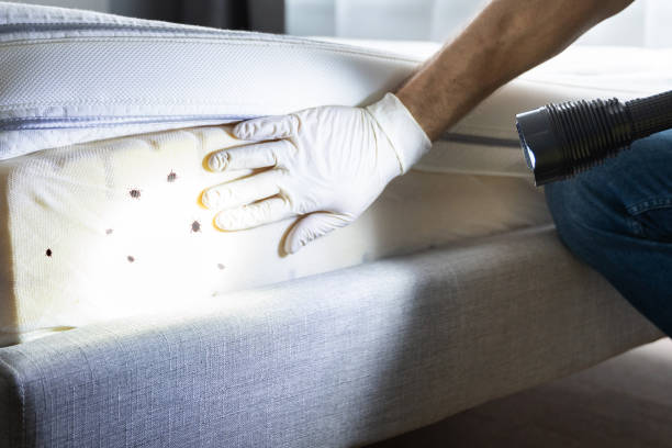 Best Pest Removal Services  in Richland Hills, TX