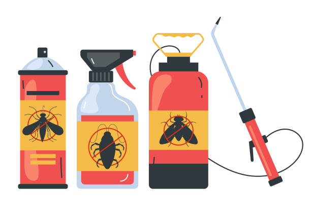 Best Local Pest Control Services  in Richland Hills, TX